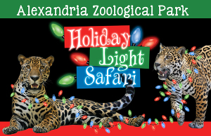 Alexandria Holiday Light Safari