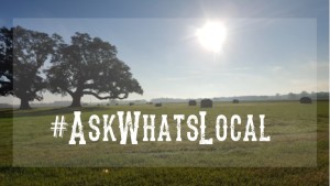 AskWhatsLocal