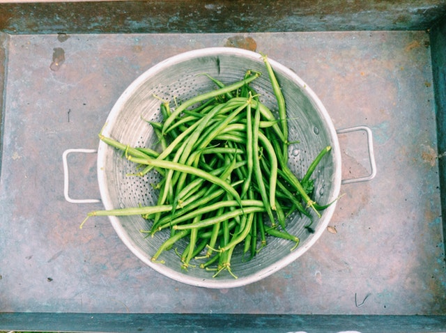Home Food Preservation: Green Beans