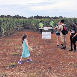 Inglewood Farm Hosts 8-Acre Corn Maze Full of Fall Fun