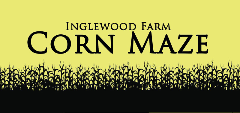 Inglewood Farm Hosts 8-Acre Corn Maze Full of Fall Fun