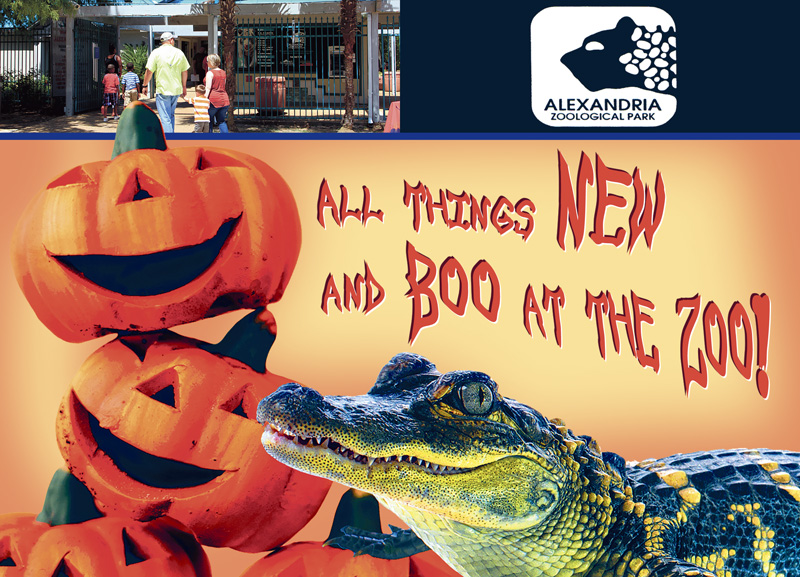 All Things New and Boo at the Zoo