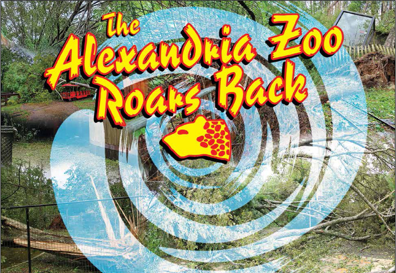 The Alexandria Zoo Roars Back