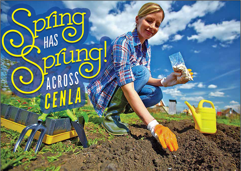 Spring Has Sprung Across Cenla!