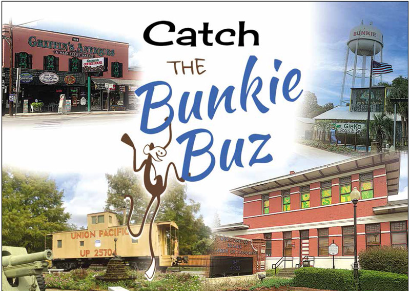 Catch the Bunkie Buz!